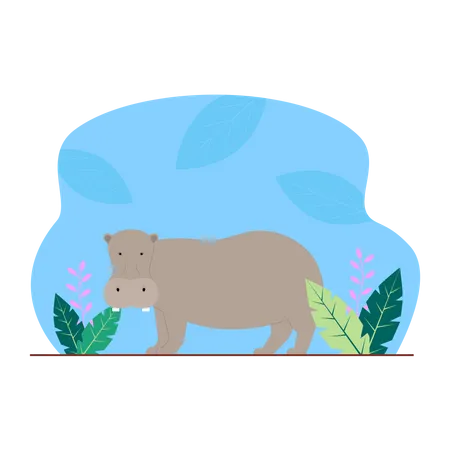 Hippopotame  Illustration