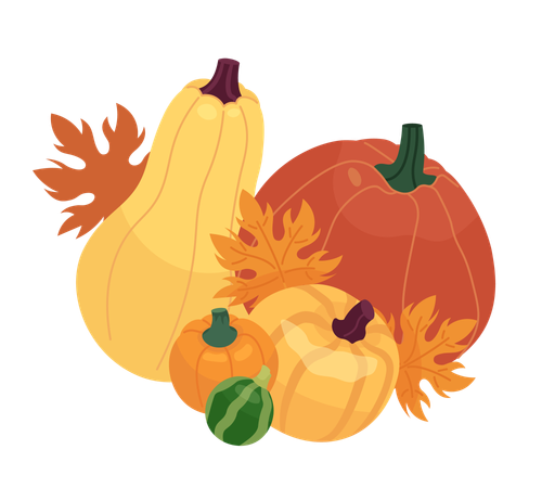 Calabazas de hojas de arce  Ilustración