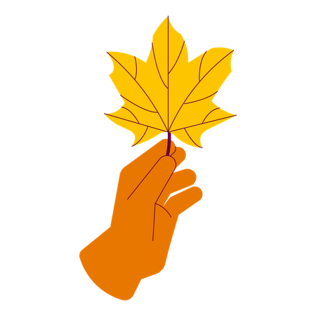 Holding dry maple leaf Illustration