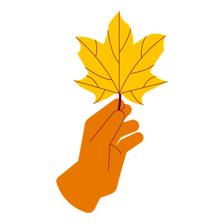 Holding dry maple leaf  Illustration