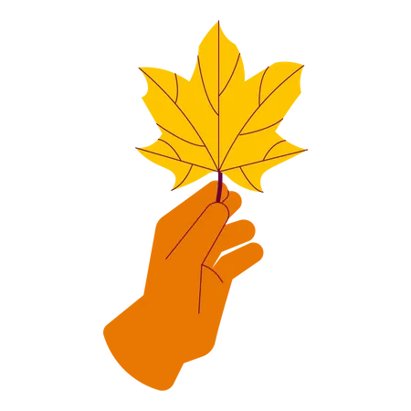 Holding dry maple leaf  Illustration