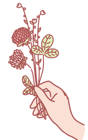 Holding flower  イラスト