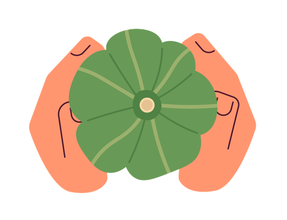 Holding Kabocha pumpkin  Illustration