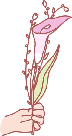 Holding lily flower  Illustration