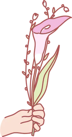 Holding lily flower  Illustration
