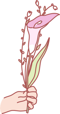 Holding lily flower  イラスト
