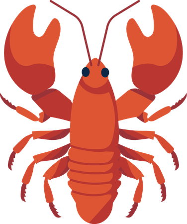 Homard  Illustration