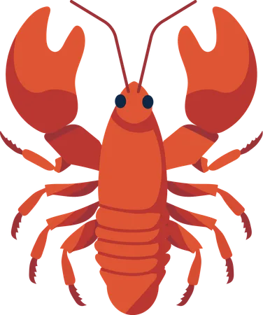 Homard  Illustration