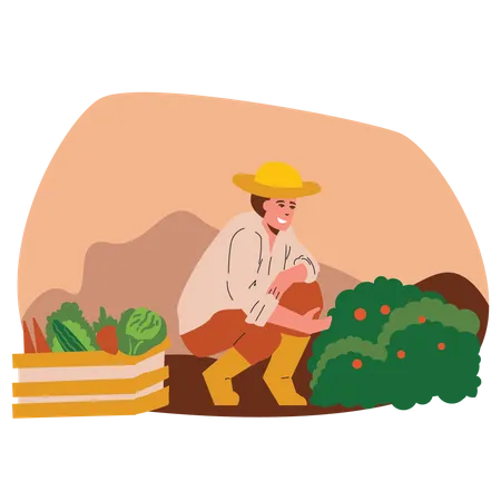 Agricultor cosechando frutas  Ilustración