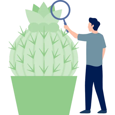 Hombre buscando cactus Grusonii  Ilustración