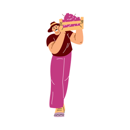 Hombre que lleva una caja de uvas moradas del viñedo sobre su hombro  Ilustración