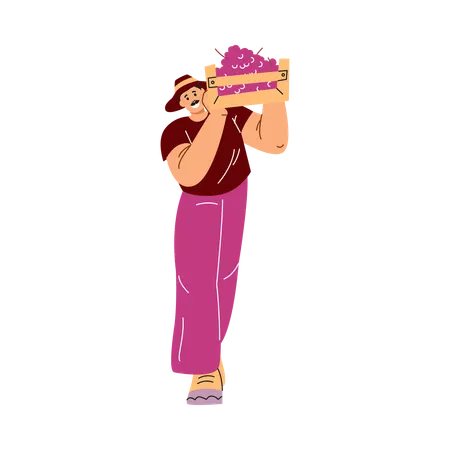 Hombre que lleva una caja de uvas moradas del viñedo sobre su hombro  Ilustración