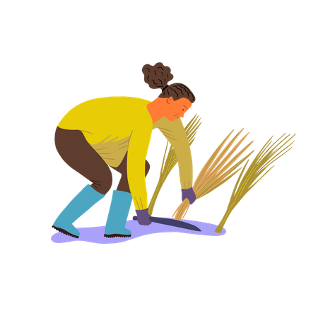Hombre cortando cosecha  Ilustración