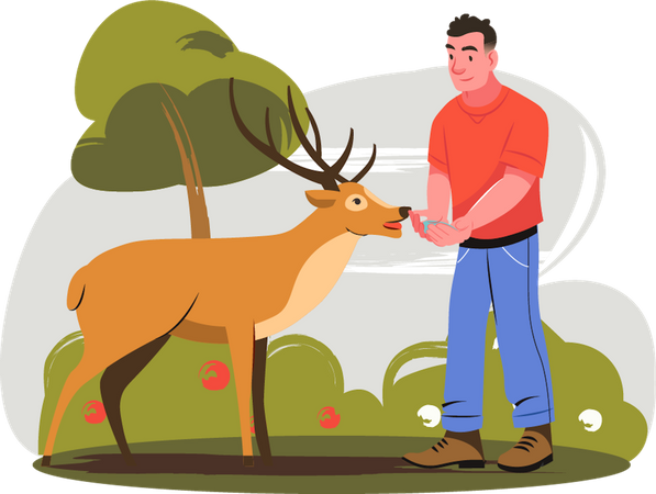 Hombre dando comida a los ciervos  Ilustración