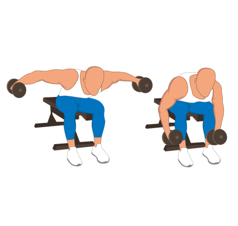 Hombre fitness haciendo espalda doble mosca doble  Ilustración