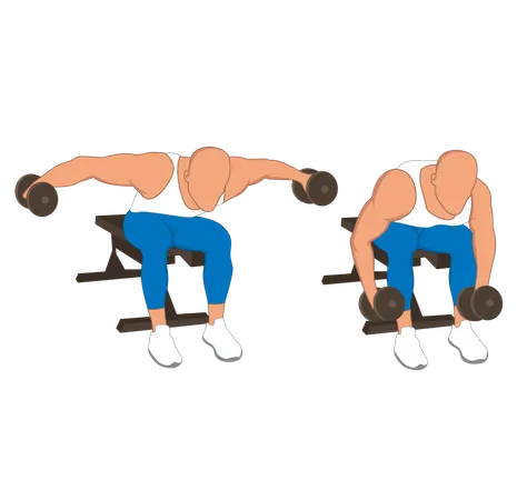 Hombre fitness haciendo espalda doble mosca doble  Ilustración