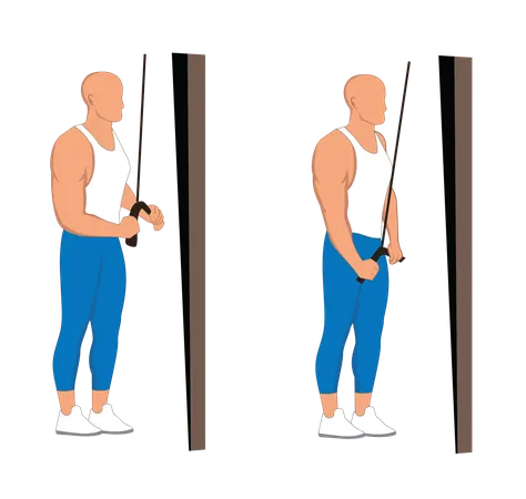 Hombre fitness haciendo polea de tríceps  Ilustración