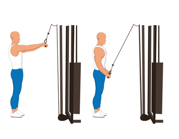 Hombre fitness haciendo polea de línea de tríceps  Ilustración