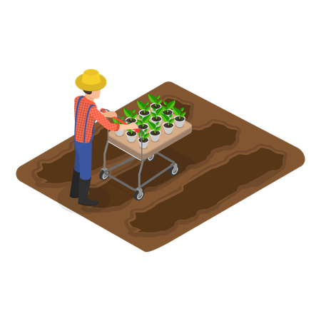 Hombre haciendo agricultura sostenible  Ilustración