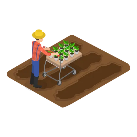 Hombre haciendo agricultura sostenible  Ilustración