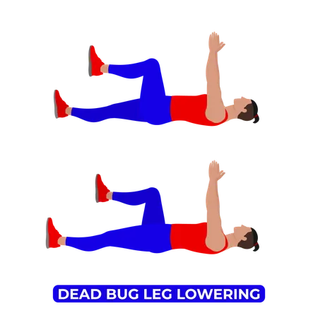 Hombre haciendo ejercicio para bajar la pierna del insecto muerto  Ilustración