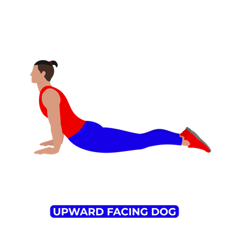 Hombre haciendo estiramiento de perro mirando hacia arriba  Ilustración