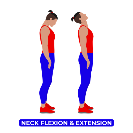 Hombre haciendo flexión y extensión del cuello  Ilustración