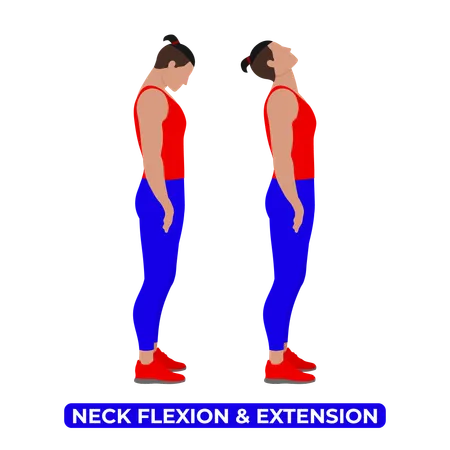 Hombre haciendo flexión y extensión del cuello  Ilustración