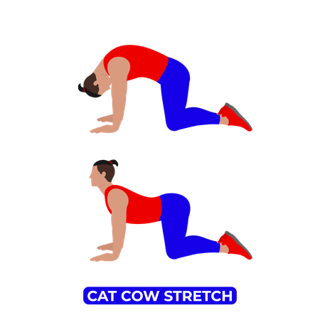 Hombre haciendo estiramiento de vaca gato  Ilustración