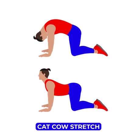Hombre haciendo estiramiento de vaca gato  Ilustración