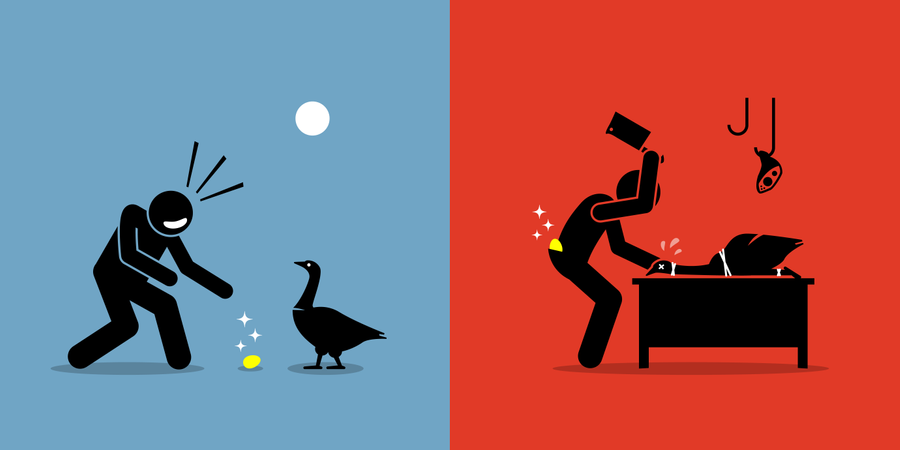 Hombre matando a una gallina de los huevos de oro por un huevo de oro  Ilustración