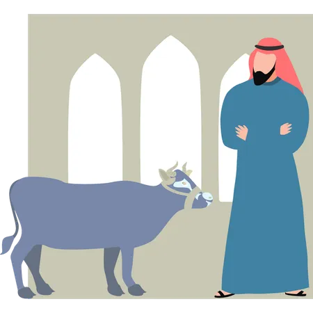 El hombre mira la vaca Eid.  Illustration