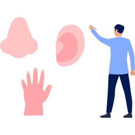 Hombre mostrando parte del cuerpo humano  Ilustración