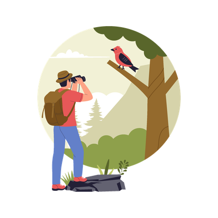 Hombre observando un pájaro en un árbol  Ilustración