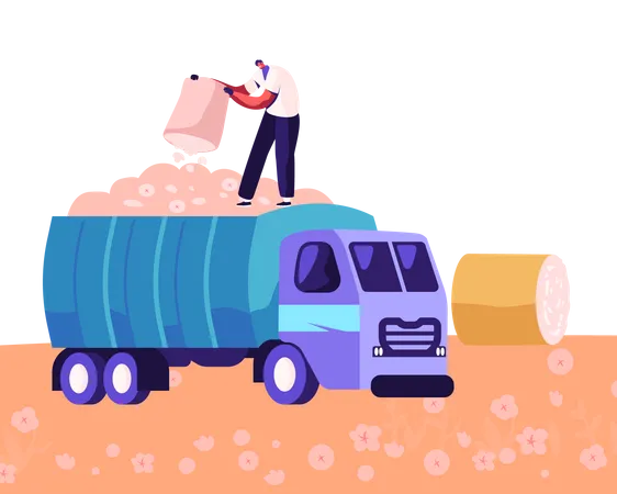 Hombre recogiendo algodón en el campo y poniéndolo en un camión  Ilustración