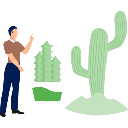 Hombre señalando una planta de Gymnocalycium  Ilustración