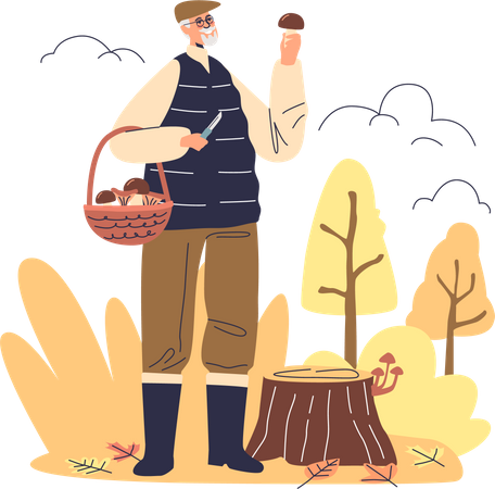Hombre mayor recogiendo setas en el bosque de otoño  Ilustración