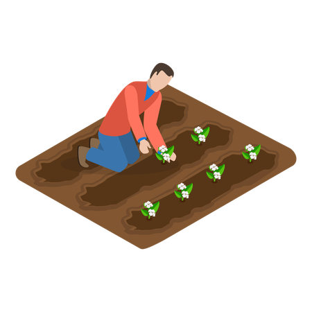 Hombre trabajando en una granja de algodón  Ilustración