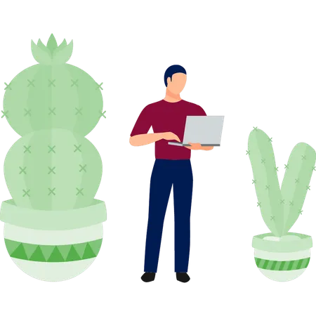 Hombre usando una computadora portátil cerca de una planta de cactus  Ilustración