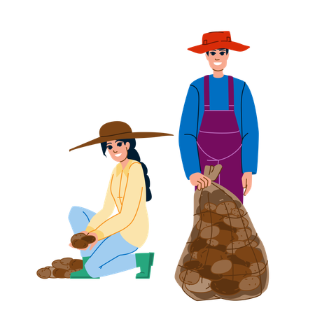 Agricultor y campesina cosechando patatas  Ilustración