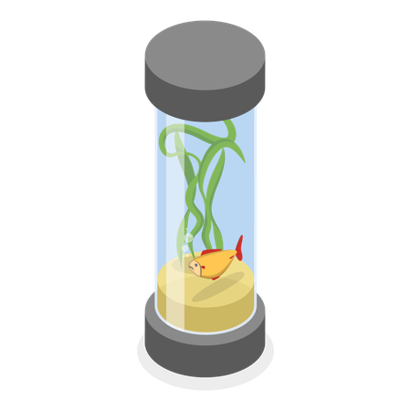 Home Aquariums  Illustration