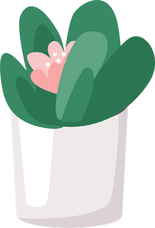 Home flower  Illustration