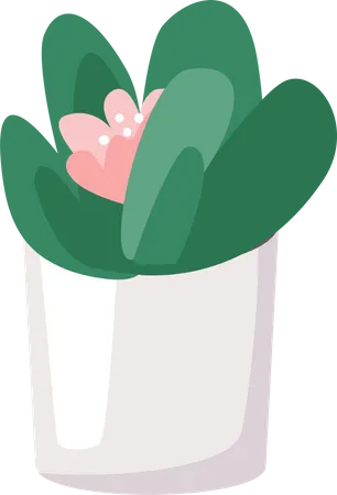 Home flower  Illustration