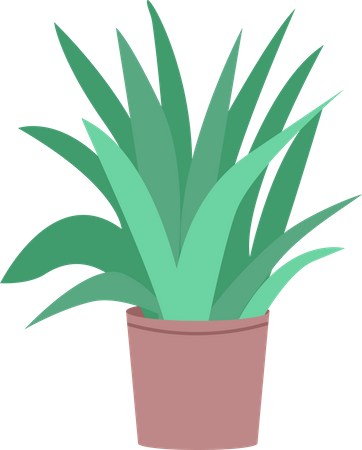 Home flower  Illustration