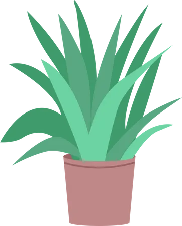 Home flower  Illustration