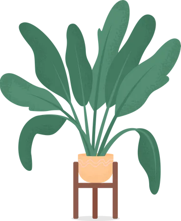 Home plant Illustration