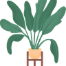 homeplant illustration