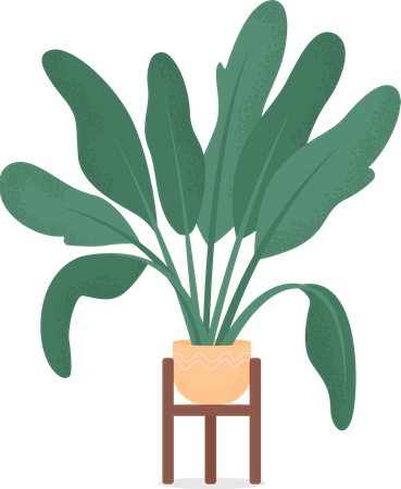 Home plant  Illustration