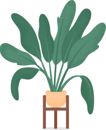 Home plant  Illustration