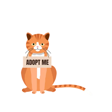 Pet Adoption And Fostering Concept Homeless Furry Friend With Adoptable Collar Orange Cat With Adopt Me Collar Illustration
